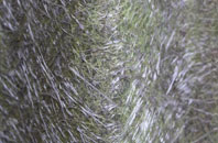 Kilby Bridge fibreglass roof work